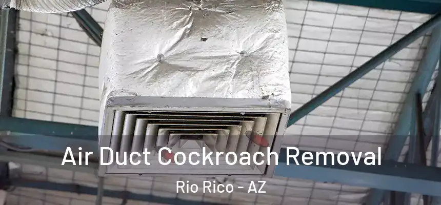  Air Duct Cockroach Removal Rio Rico - AZ
