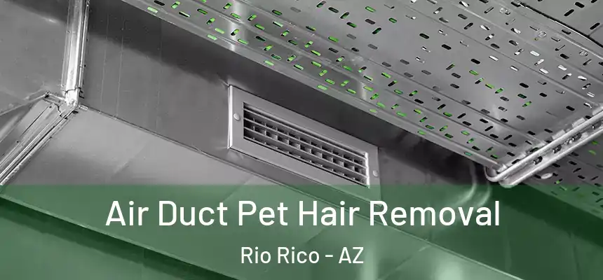  Air Duct Pet Hair Removal Rio Rico - AZ