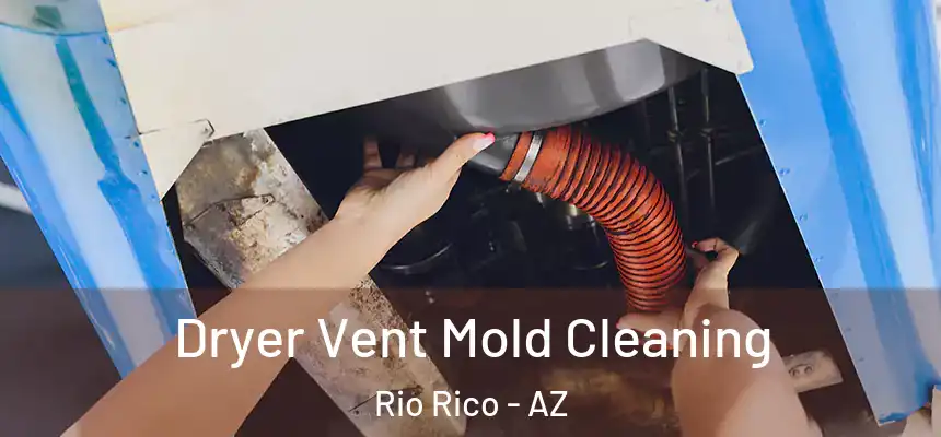 Dryer Vent Mold Cleaning Rio Rico - AZ