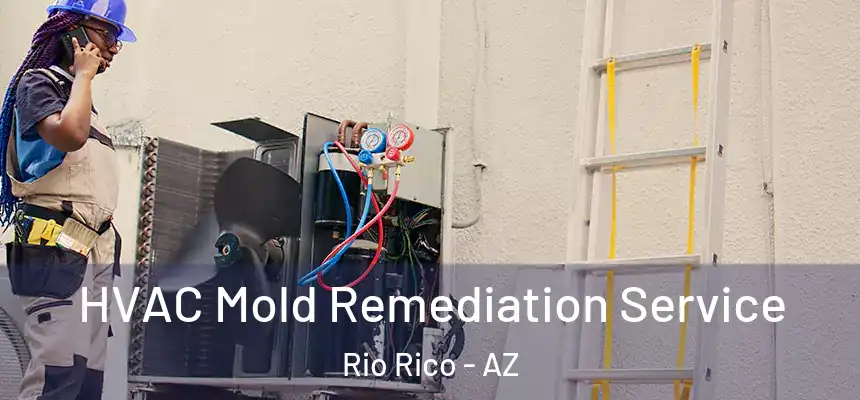  HVAC Mold Remediation Service Rio Rico - AZ