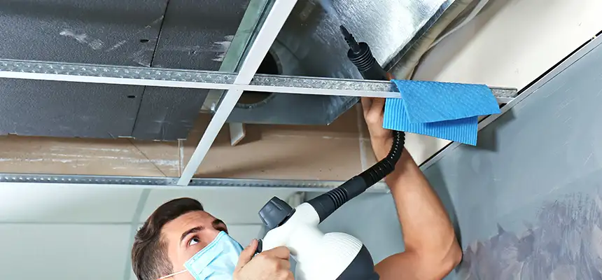Our Air Duct Rodent Removal Services in Rio Rico, AZ