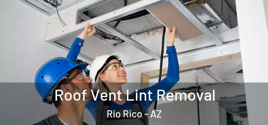  Roof Vent Lint Removal Rio Rico - AZ
