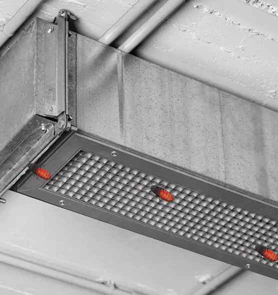 About Air Duct Cockroach Removal in Rio Rico, AZ