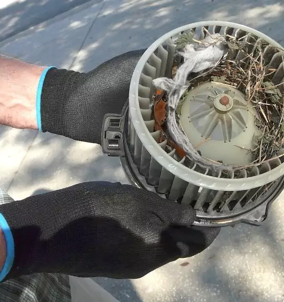 About Air Duct Mice Removal in Rio Rico, AZ