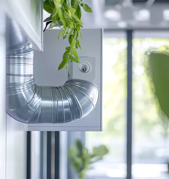 Professional Eco-Friendly Duct Cleaning Services in Rio Rico, AZ