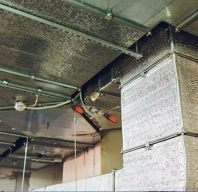 Why Homeowners & Businesses Trust Us in Rio Rico, AZ?