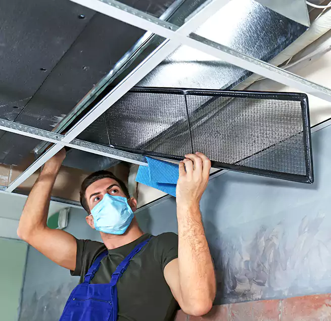 Why Homeowners Businesses Trust Us in Rio Rico, AZ