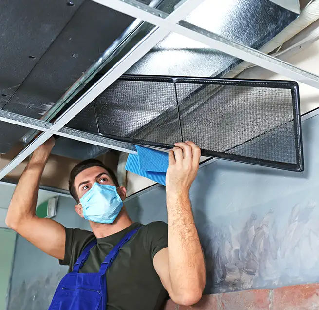 Why Homeowners & Businesses Trust Us in Rio Rico, AZ?